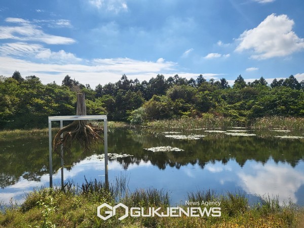 타케코시 코헤이의 제주의 나무/ Tree of Jeju. [사진=문서현 기자]
