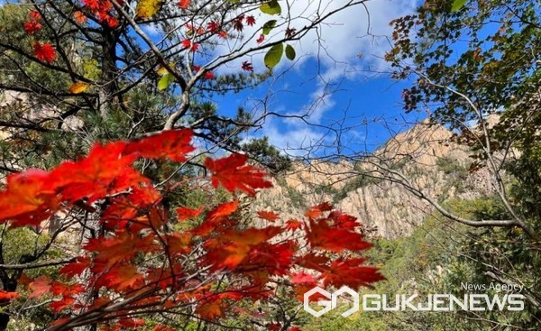 서서히 붉은 옷으로 갈아 입기 시작한 설악산 모습. (사진 = 한국의 산 캡처)