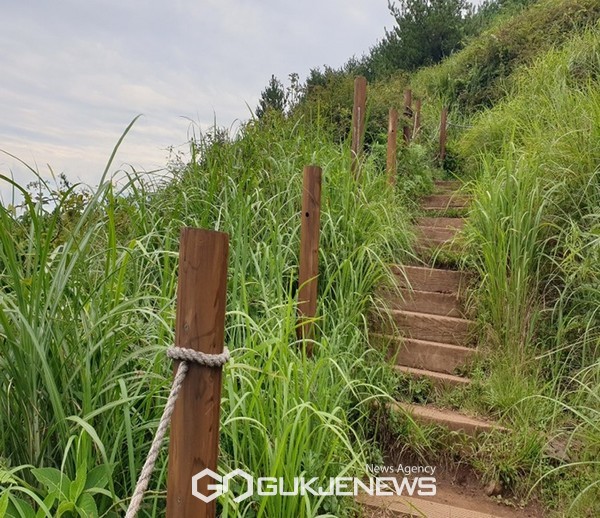 서귀포시는 오름 보호와 탐방객 안전사고 방지를 위해 안덕면 상창리 병악오름, 안덕면 동광리 거린오름, 안덕면 창천리 군산오름, 표선면 성읍리 백약이오름 총 4개소에 대한 정비기 진행된다.[사진=서귀포시]