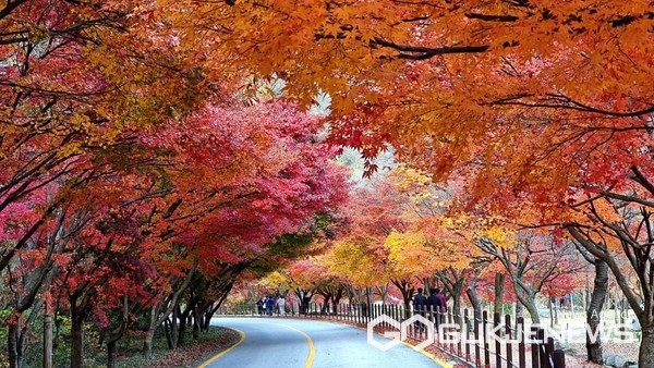 [오늘날씨] 단풍명소 몰릴듯 '서울날씨' 낮부터 입동추위풀려