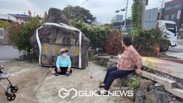 제성마을벚나무대책위 할머니들이 잘린 벚나무에서 맹아가 나오는 것을 제주시가 제거한다고 해서 제거하지 못하도록 지키고 있다.[사진=제성마을벚나무대책위원회]