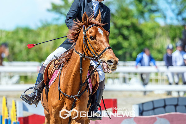 ‘더마파크 승마’는 세계 최초 말전문 테마공원인 ‘더마파크’에서는 초보부터 전문가까지 아우르는 다양한 코스를 제공한다.[사진=제주신화월드]