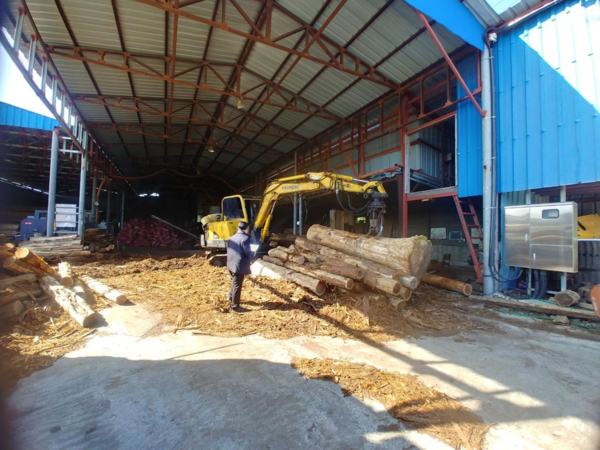 제주시는 소나무재선충병 인위적 확산을 사전에 차단하기 위해 오는 12월 16일까지 소나무 취급업체 43개소에 대해 특별단속을 실시한다.[사진=제주시]