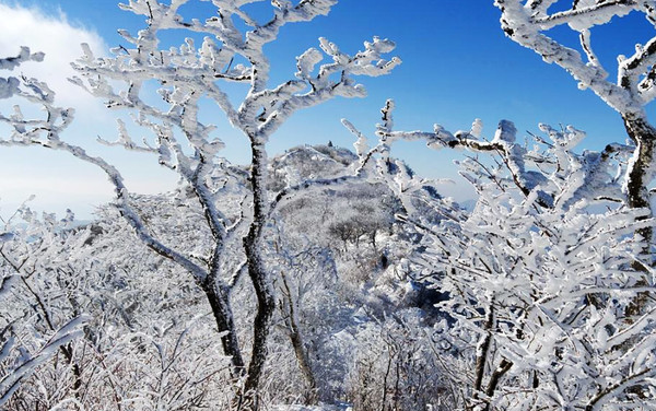 제주도 한라산 눈꽃여행 상고대, 겨울 강추위 (사진출처=한국관광공사)