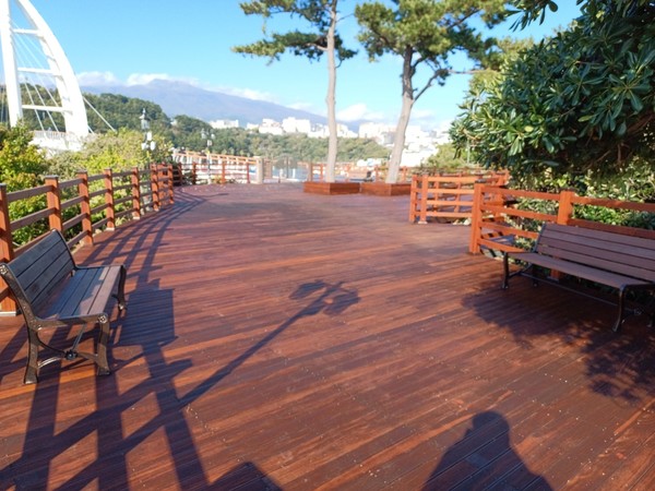 서귀포시는 서귀포항 인근에 위치한 새섬공원 시작점인 목재 전망대 교체 사업을 올해 9월 중순 착수해 지난달 완료했다.