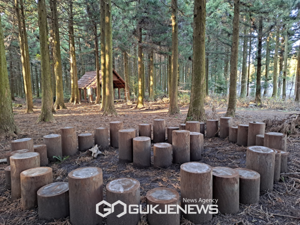 제주도는 올해부터 2026년까지 5년간 총 10개소의 유아동네숲터 조성사업을 추진할 예정이다.