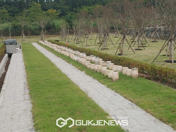 제주시 용강 별숲공원 자연장지.[사진=제주시]