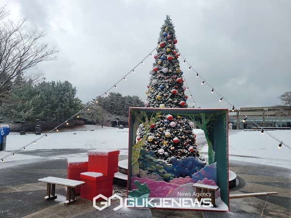 제주도립미술관 야외마당에  ‘크리스마스의 숲’포토존을 설치해, 6m 높이의 대형 트리와 함께 동화'헨젤과 그레텔'에 나오는 환상적인 숲속 분위기를 연출했다.[사진=제주도립미술관]
