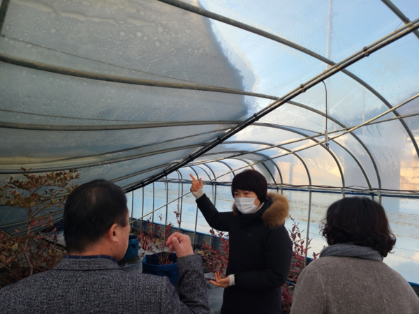 신정이&nbsp;의장과&nbsp;지역구&nbsp;의원들이&nbsp;지역의&nbsp;폭설피해&nbsp;현장을&nbsp;돌며&nbsp;농가를&nbsp;격려하고&nbsp;향후&nbsp;지원방향에&nbsp;대해&nbsp;논의하는&nbsp;시간도&nbsp;가졌다.(사진=군의회)