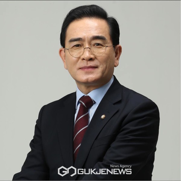 국민의힘 국회의원 태영호