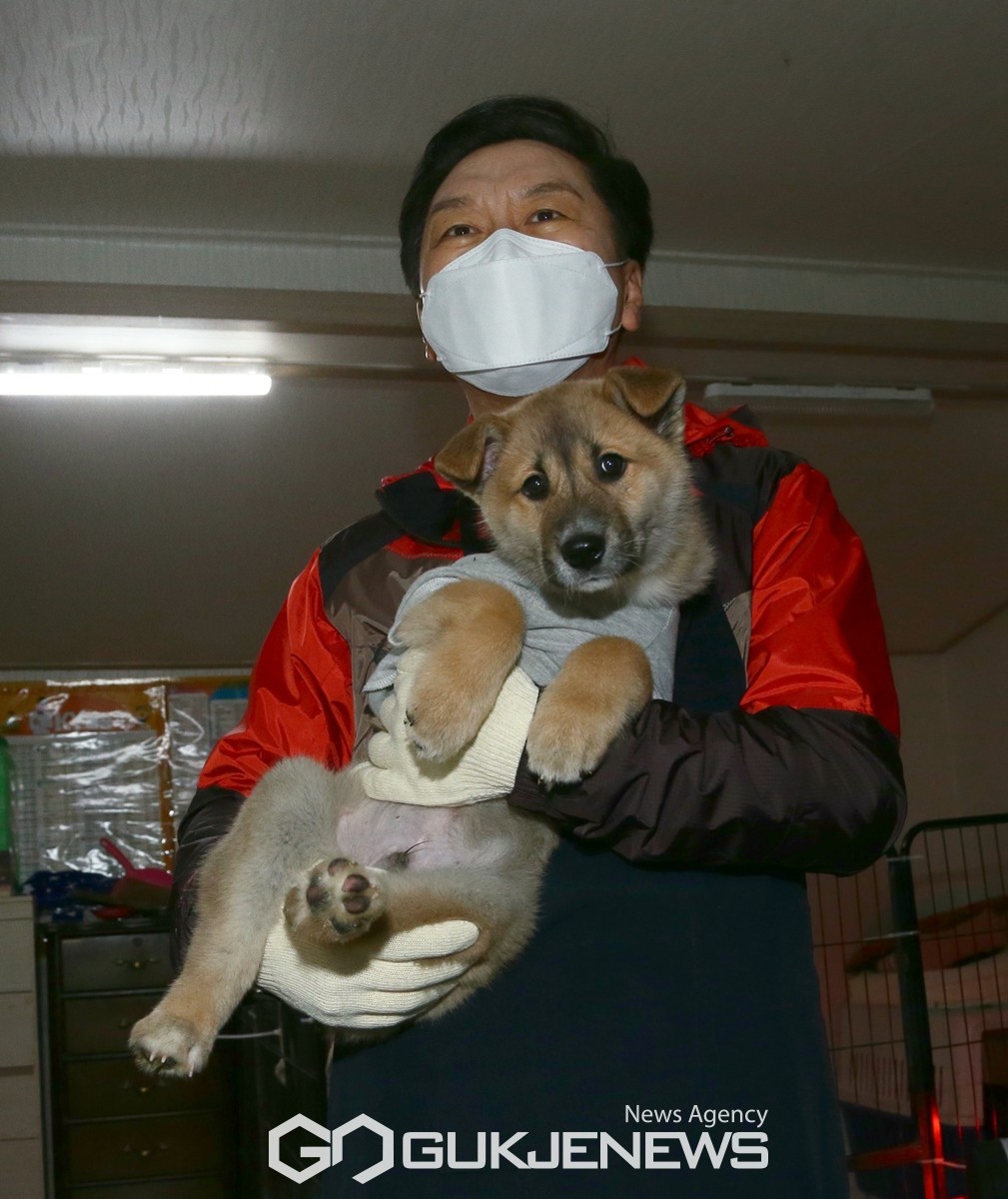 (인천=국제뉴스) 국민의힘 당권주자인 김기현 의원이 23일 오전 인천 계양구 소재 '행복하개 쉼터'에서 설 연휴를 맞아 유기견 보호 봉사활동을 하고 있다. ( /사진=원명국 기자