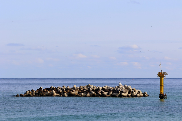 사진은 기사와 관련없음. 테트라포드 (사진=픽사베이)