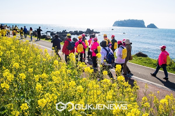 ‘제25회 서귀포 유채꽃 국제걷기대회’가 오는 3월 25일부터 26일까지 양일간 제주월드컵경기장 광장에셔 열린다 특히 올해는 3년만에 인원 제한 없이 국내외에서 참가한다.[사진=서귀포시청]
