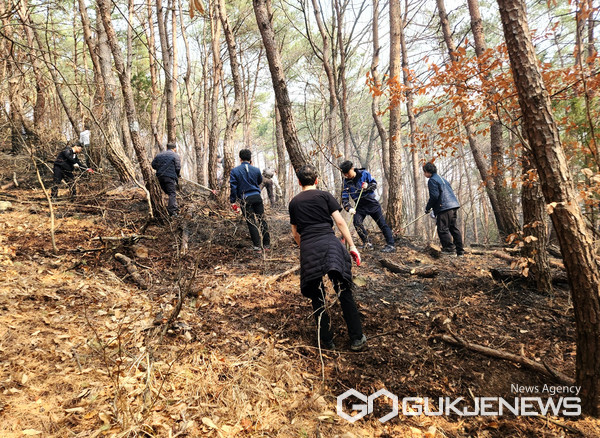 (사진제공=한전 경남본부) 한전 직원들이 합천  산불 현장에서 잔불 정리 작업 지원 활동을 벌이고 있다.