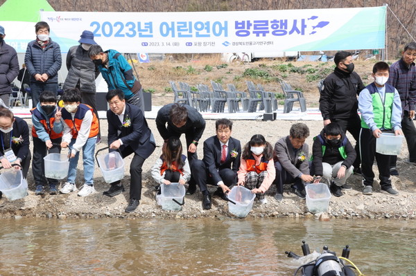 사진은 포항시와 경상북도 민물고기연구센터의 연어 치어 방류 행사 모습 (사진 = 포항시)