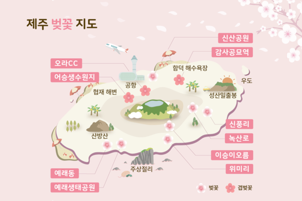 제주 벚꽃 개화시기와 명소 / 사진-제주패스 제공