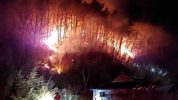 전북 진안 대두산 화재 (사진=전라북도 제공)