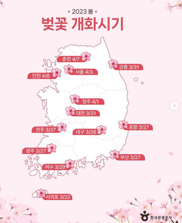 2023년 벚꽃개화시기 만개일 전국관광명소 장소 (사진출처=한국관광공사)
