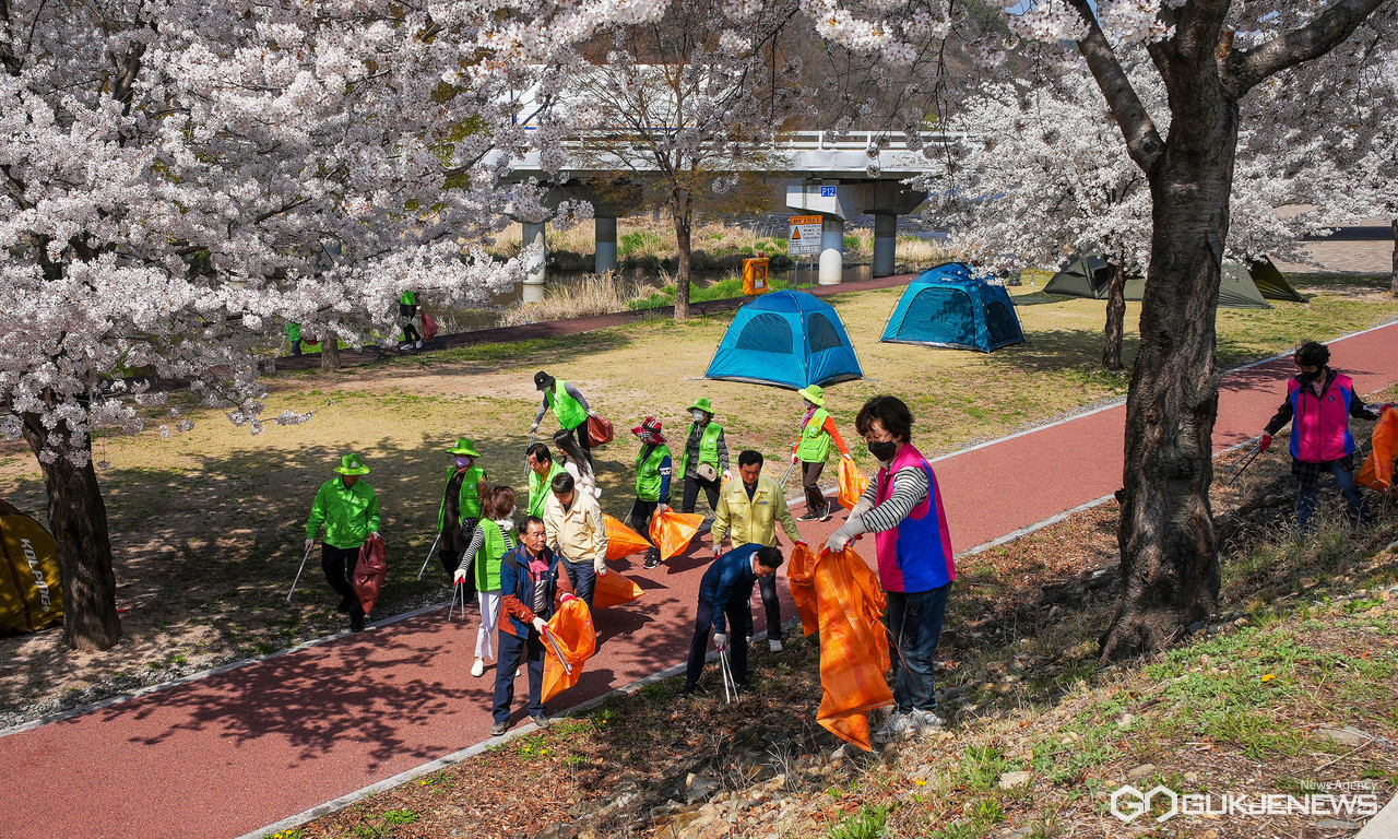 (제공=영천시) 봄맞이 벚꽃 예쁜길 플로깅 캠페인