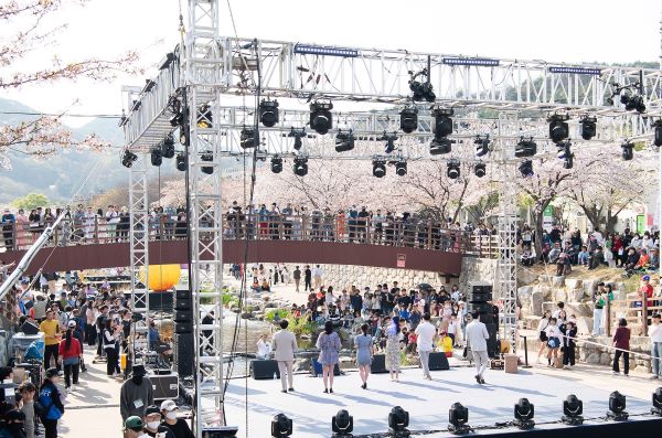 금오천 ‘벚꽃페스티벌’ 성료.(사진=구미시)