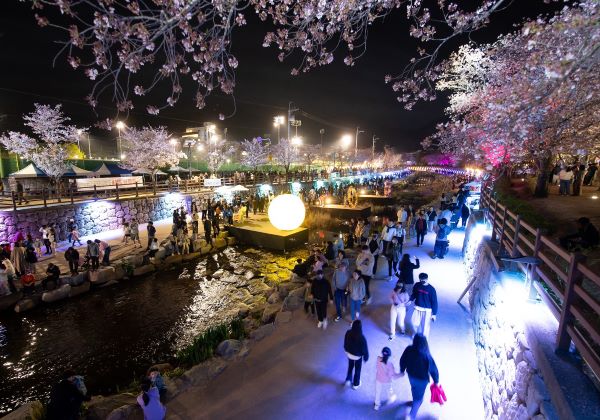 금오천 ‘벚꽃페스티벌’ 성료.(사진=구미시)