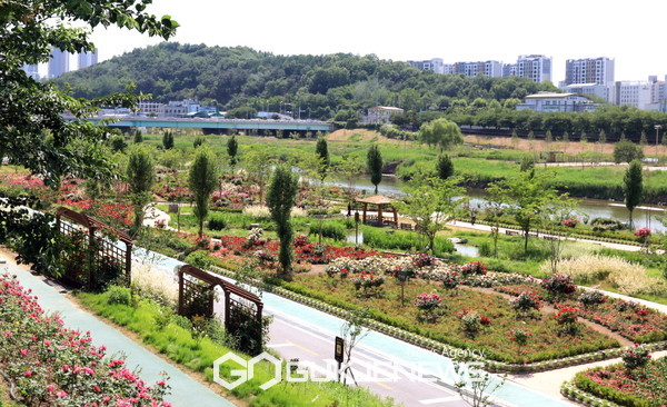 지난해 5월 안양천 생태초화원 모습. 사진=구로구청