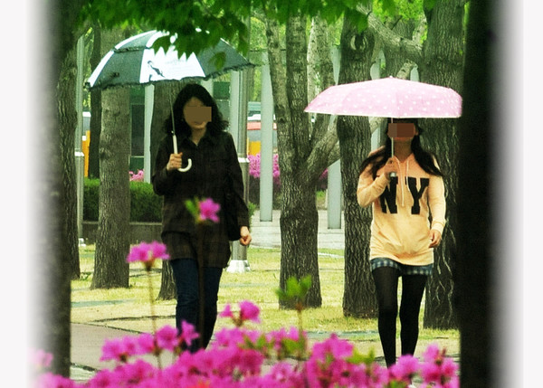 봄비스케치, 날씨 (국제뉴스DB)