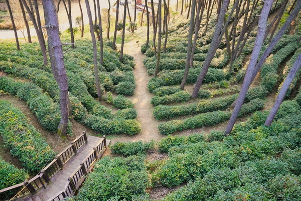 익산 어디서든 즐길 ‘녹색공간’ 확 늘린다(사진=익산시청 제공)