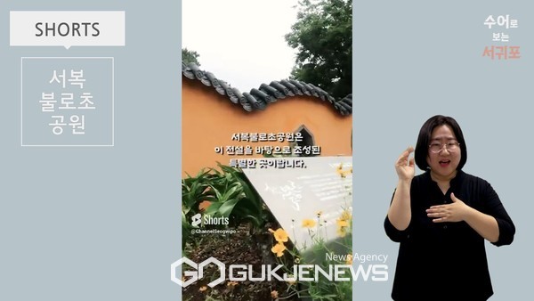 서귀포시가 자자체 최초로 정보취약계층의 다양한 콘텐츠 접촉에 대한 갈증과 정보불균형을 해소하기 위해 취약계층 전용 공식 유튜브 채널을 개설해 7월부터 공식 운영에 들어갔다.[사진=서귀포시청]