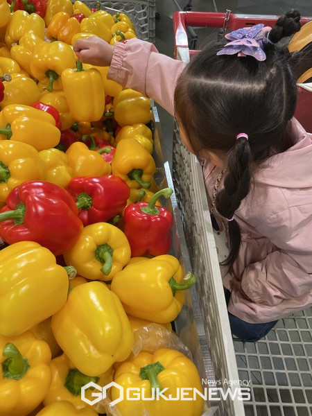 은평구 어린이급식관리지원센터, 상반기 ’안전한 식품 선택하기‘ 교육 [사진제공=은평구 어린이급식관리지원센터]