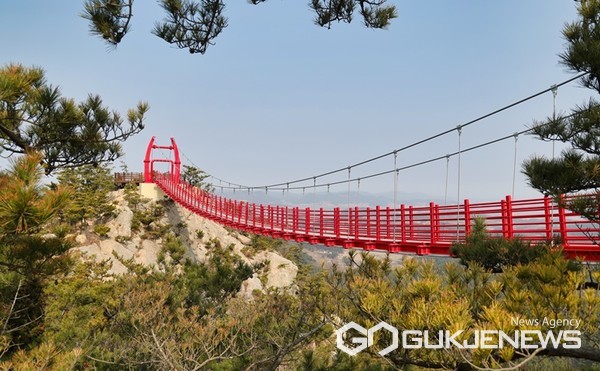 태안군 백화산에 설치된 구름다리 전경. (사진 = 태안군 제공)