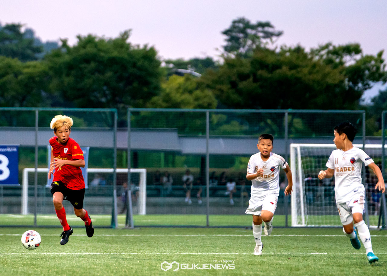 2023 화랑대기 전국 유소년축구대회, 12일 경주서 개막 < 스포츠 < 국내스포츠 < 스포츠 < 기사본문 - 국제뉴스