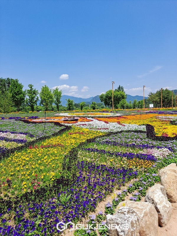 사진/국제뉴스 이재호 기자