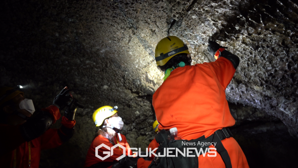 제주도는 10월 3일부터 8일까지  성산일출봉, 만장굴, 거문오름 등 제주 세계유산지구에서 개최되는 2030 세계자연유산축전 특별탐험대 참가자를 선착순으로 모집한다.[사진=세계자연유산축전]