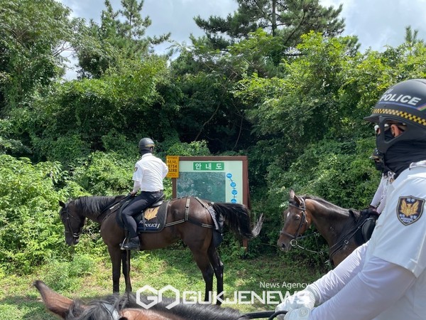 자치경찰기마대는 휴대전화 송수신 불량구간이 포함된 범죄취약지와 치안사각지대를 선정하고 지난 21일부터 올레길 및 한라산 둘레길 등을 대상으로 자치경찰기마대 특별 치안활동을 실시하고 있다.[사진=제주자치경찰 기마대]