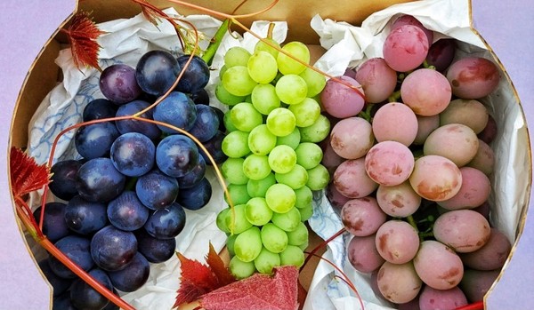 사진제공 = 가평군청