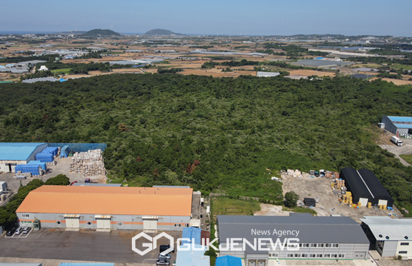 서귀포시는 지난 6월부터 수시로 지상예찰과 병행하여 드론을 활용한 예찰을 실시하고 있으며, 오는 19일에는 산림항공관리소 합동으로 항공예찰도 실시할 예정이다.[사진=서귀포시청]