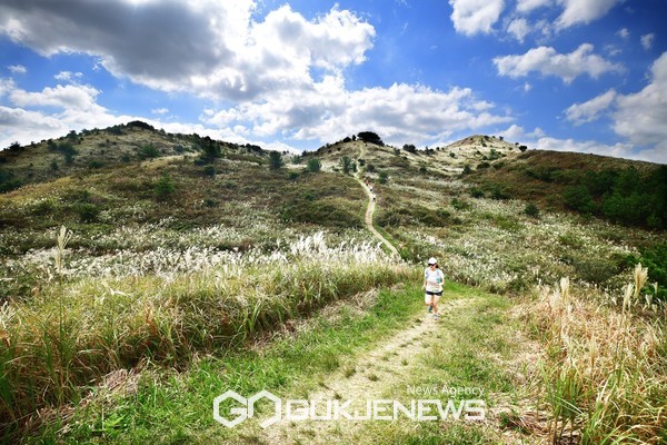 한라산과 오름 등 제주의 가을 풍광을 벗 삼아 달리는 국내 최초, 국내 유일의 UTMB 월드시리즈인 국제트레일러닝대회가 6~8일까지 제주에서 열린다.[사진=서귀포시청]