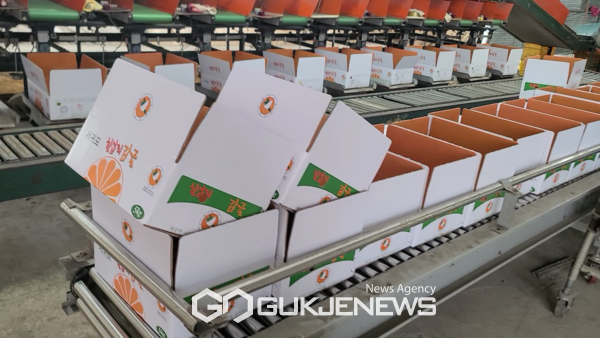 제주산 감귤을 서귀포산으로 원산지를 속여 도외로 유통하려던 감귤 선과장 대표가 경찰에 적발됐다.[사진=제주도 자치경찰단]