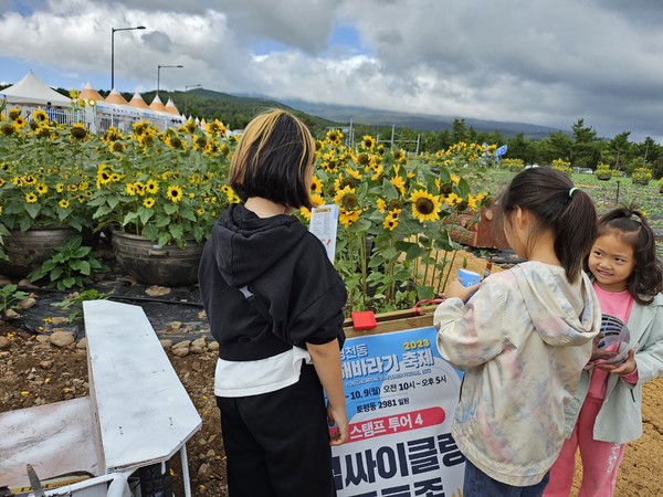7~9일 열린 제1회 영천동 해바라기 축제장에서 아이들이 스템프투어를 즐기고 있다.[사진=문서현 기자]