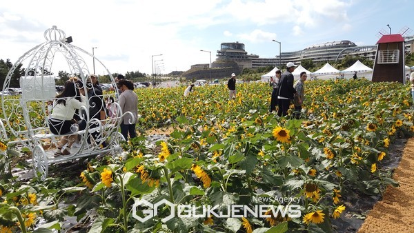 ​​서귀포시 영천동주민센터와 영천동해바라기축제위원회 등이 개최한 첫 ‘영천동 해바라기 축제’가 지난 7일 막을 열고 9일 성황리에 막을 내렸다.[사진=문서현 기자]