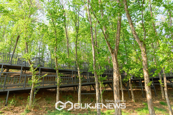 양천구 신정산둘레길 전경 [사진제공=양천구청]