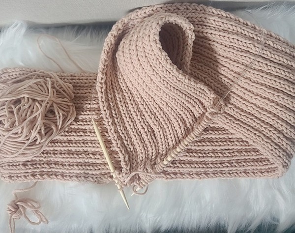 (사진제공=국가혁명당)  한땀, 한땀 정성들인 뜨개질로 목도리 나눠줄 예정 