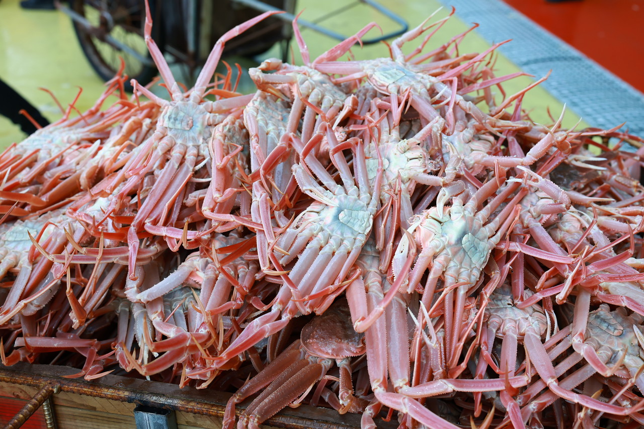 [사진제공=울진군]