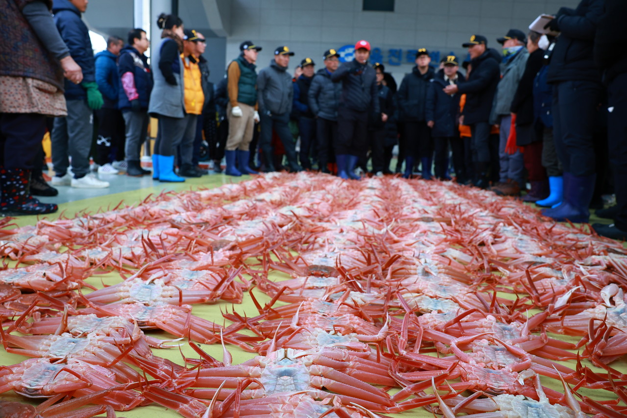 [사진제공=울진군]