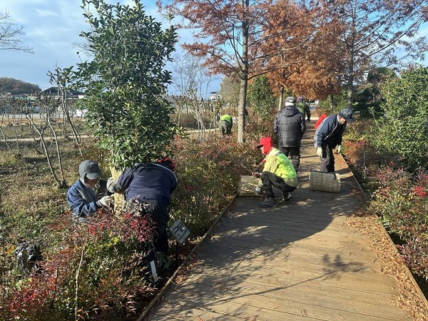 완주군 가로수길 월동 준비 완료(사진=완주군 제공)