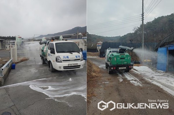 AI 방역 모습(사진=제천시)