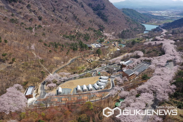 (사진제공=진주시)월아산 숲속의 진주 봄 전경