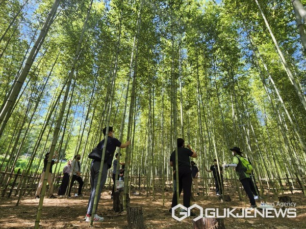 (사진제공=진주시)숲해설 프로그램