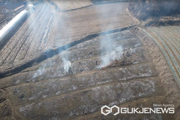 (제공=음성군청)